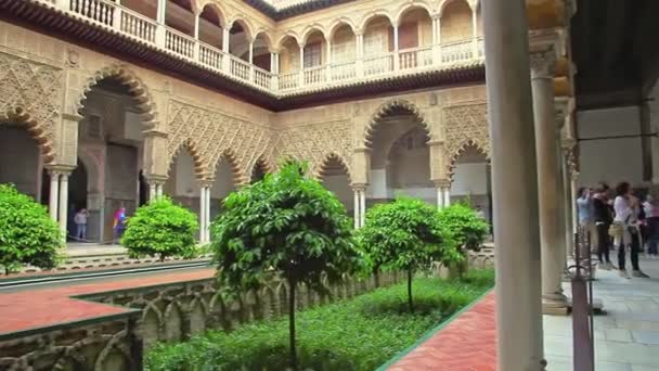 Patio Royal Alcazars of Seville — Stock video