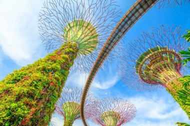 Supertree Korusu Singapur