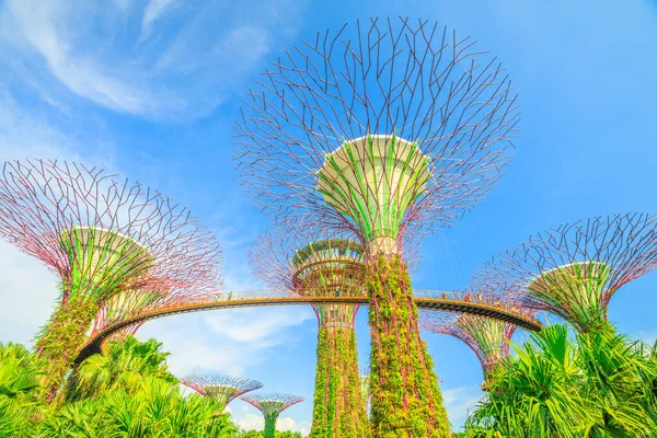 Supertree Korusu Singapur
