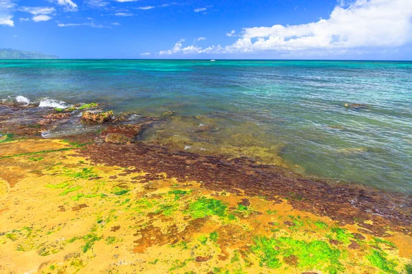 Laniakea Beach φυσικό καταφύγιο — Φωτογραφία Αρχείου