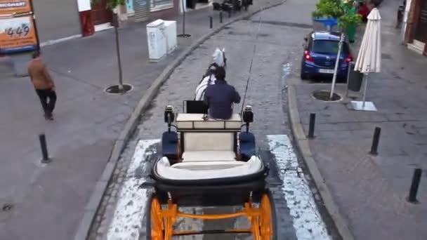 Promenade en calèche Séville — Video