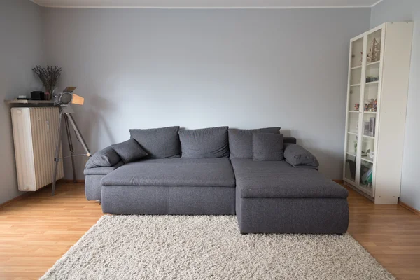 Frontalansicht Eines Wohnzimmers Einer Wohnung Mit Einem Großen Grauen Schlafsofa — Stockfoto