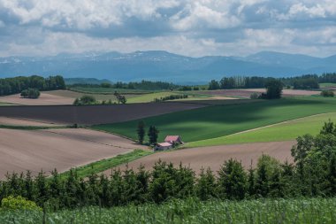 Patchwork Biei, Hokkaido, Japonya
