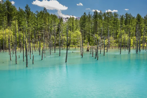 Mavi Göl (Aoiike), Biei, Hokkaido, Japonya