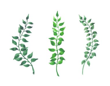 Beyaz arka plan parlak suluboya yaprak izole