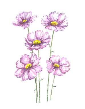 Beyaz arka plan üzerinde izole yaprak ile parlak suluboya çiçek