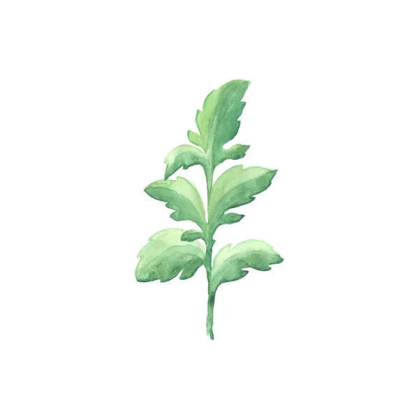 흰색 배경에 고립의 수채화 잎 밝은 개 — 스톡 사진