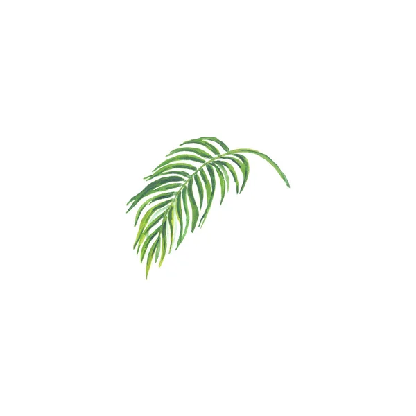 Bright watercolor leaf isolated on white background — Stock Photo, Image