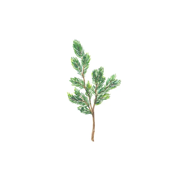 고립 된 밝은 수채화 잎 — 스톡 사진