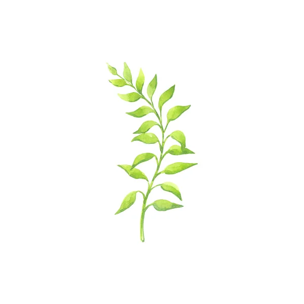 Ljusa akvarell leaf isolerade — Stockfoto