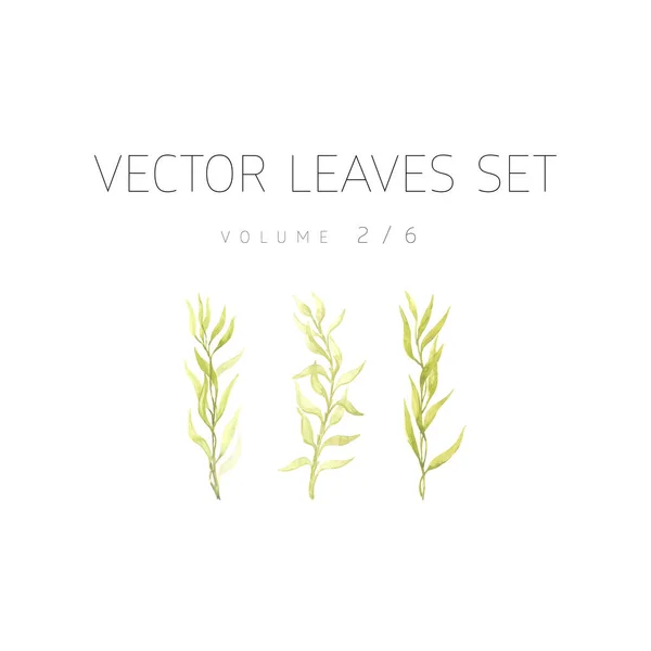 Világos akvarell floral-vector készlet — Stock Vector