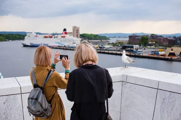 Two young stylish girls take pictures of a bird seagull — Stock Photo, Image