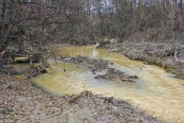 Kirlenmiş su kirliliği nedeniyle