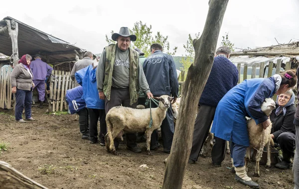  Dağ ev Vilnius içinde koyun sağım