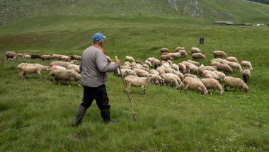  Dağ ev Vilnius içinde koyun sağım