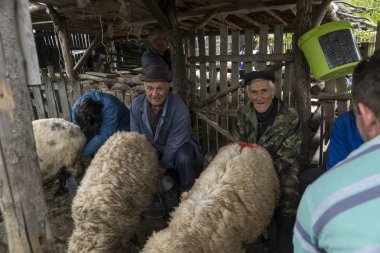  Dağ ev Vilnius içinde koyun sağım