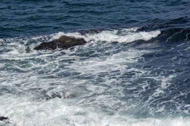 Moss covered rock and reef formation near a beach