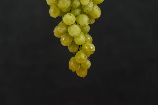 Uvas verdes colgando con gotas de agua —  Fotos de Stock
