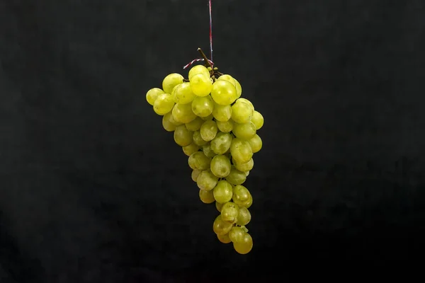 Uvas verdes colgando con gotas — Foto de Stock