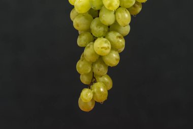 Yeşil üzüm damla ile asılı