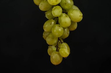 Yeşil üzüm damla ile asılı