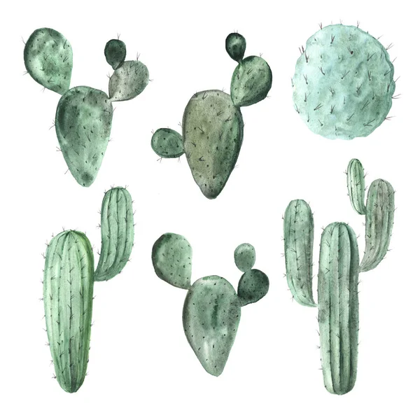 Watercolor hand painted exotic green cactus — 스톡 사진