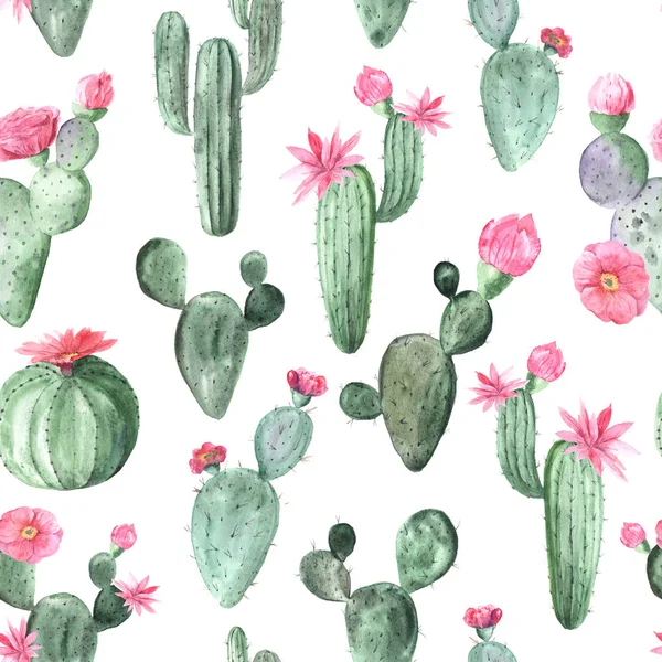 Sömlös mönster med akvarell blommande kaktus — Stockfoto