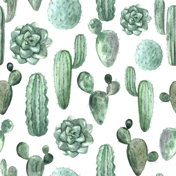 Sömlöst mönster med akvarell exotisk kaktus — Stockfoto