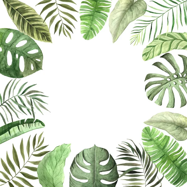 Watercolor hand painted tropical frame — 스톡 사진