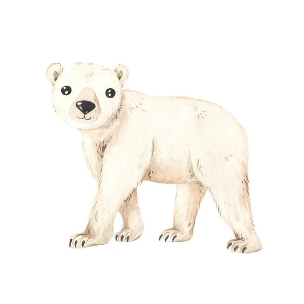 Aguarela bonito inverno urso branco — Fotografia de Stock