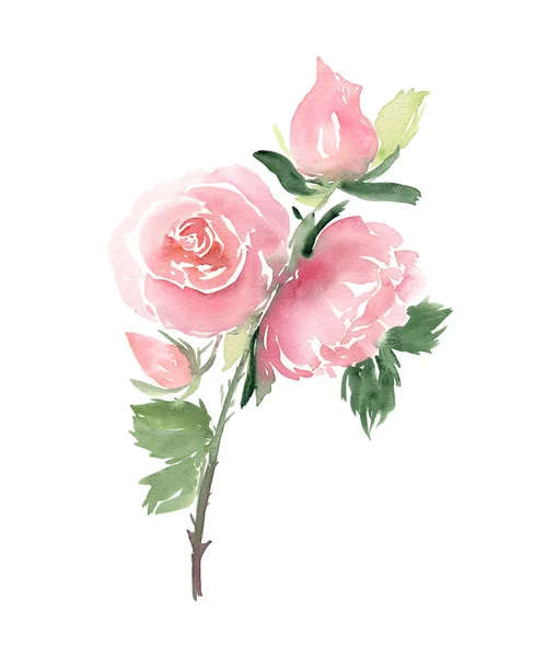 手绘水彩画玫瑰花束 — 图库照片