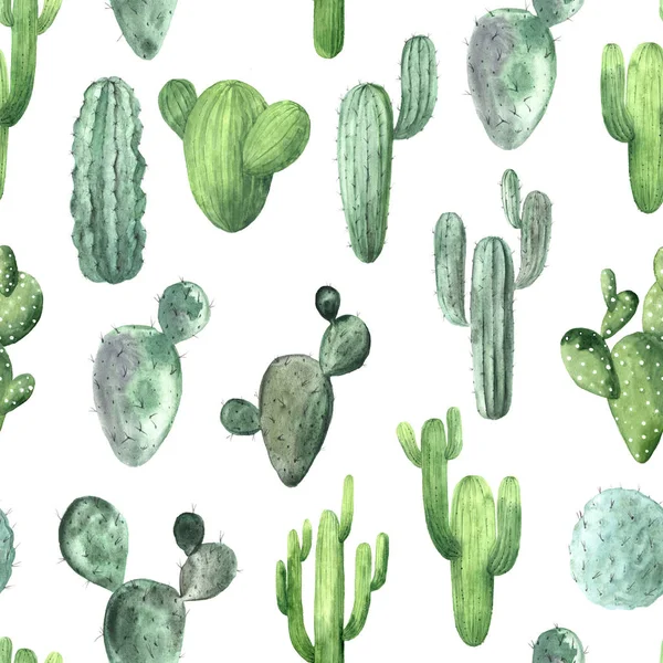 Sömlös mönster med akvarell exotisk kaktus — Stockfoto