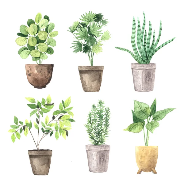 Watercolor hand painted house green plants — 스톡 사진