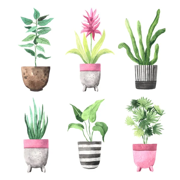 Watercolor hand painted house green plants in flower pots — 스톡 사진