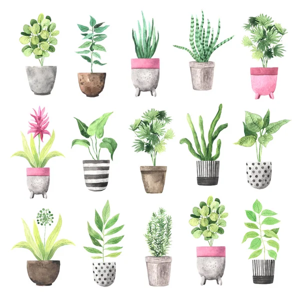 Watercolor  house green plants in flower pots — 스톡 사진