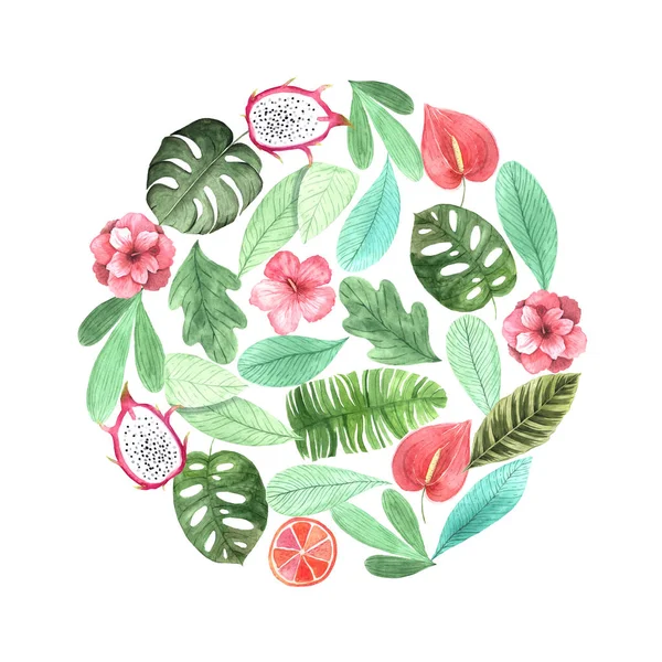 Akvarell tropiska blommor, löv och växter — Stockfoto