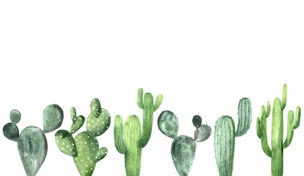 Acuarela colección de cactus verde —  Fotos de Stock