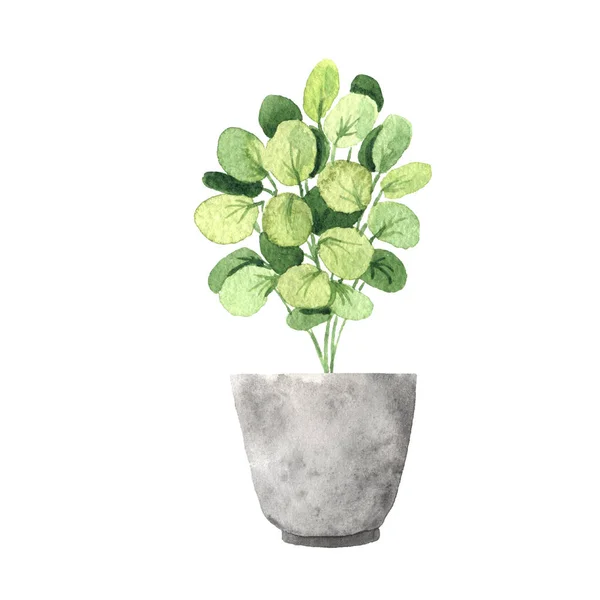 Watercolor hand painted house green plant — Stock Photo, Image