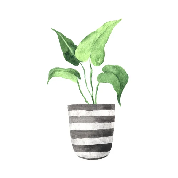 Watercolor hand painted house green plant — 스톡 사진