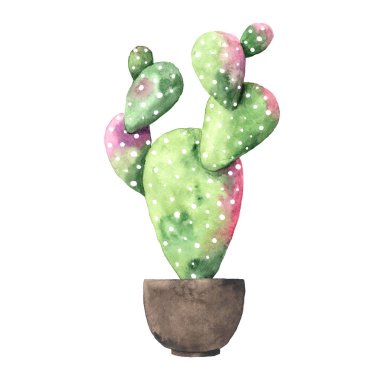 Suluboya el, egzotik yeşil kaktüs boyası