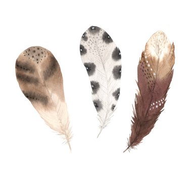 Suluboya boho renkli tüyler.