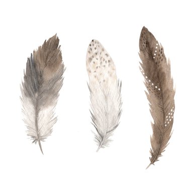 Suluboya boho renkli tüyler.