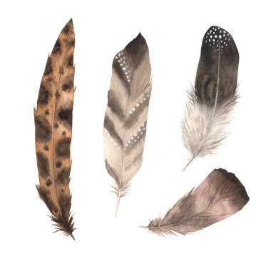 Suluboya boho renkli tüyler.