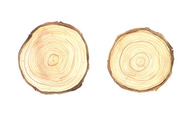 Suluboya ahşap dilim