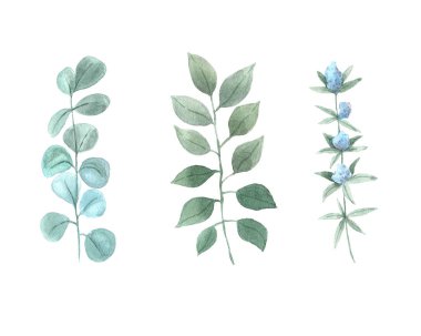 Sulu yeşil bahar yaprakları