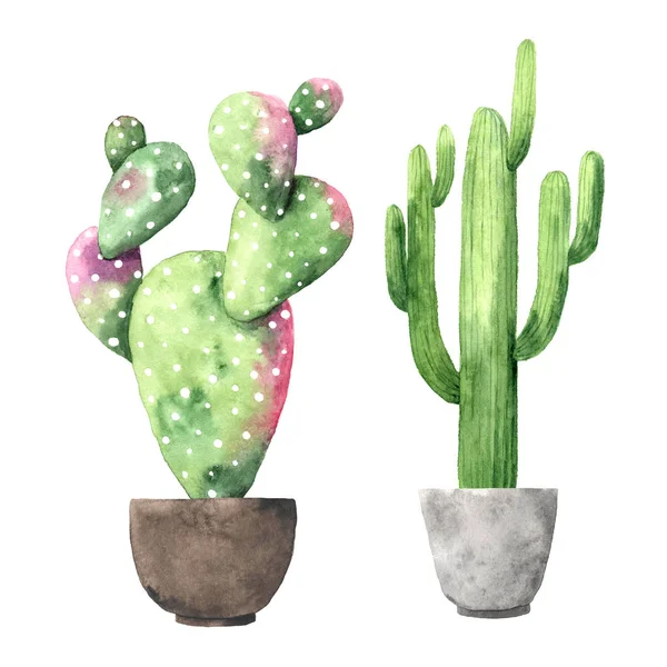 Akvarell handmålad exotisk grön kaktus — Stockfoto