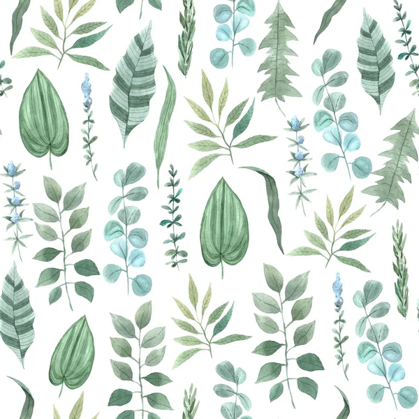 물푸레나무 잎의 솔기없는 무늬 — 스톡 사진