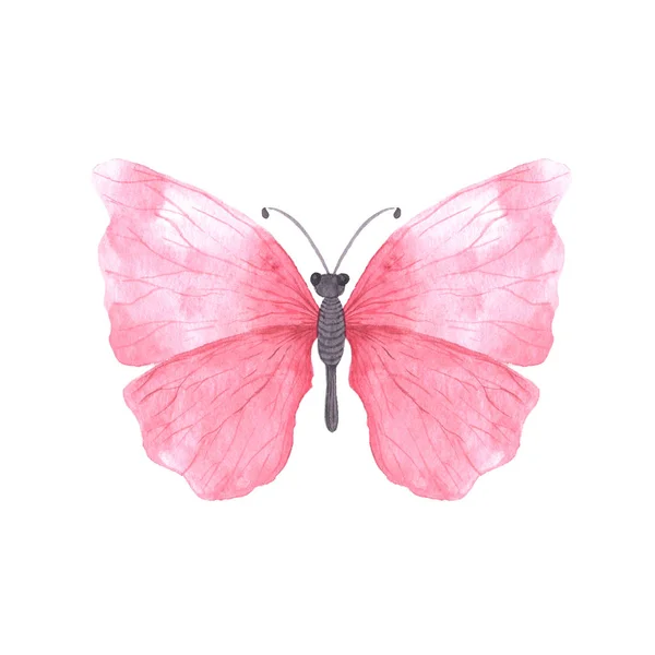 Rosa brillante acuarela mariposa —  Fotos de Stock