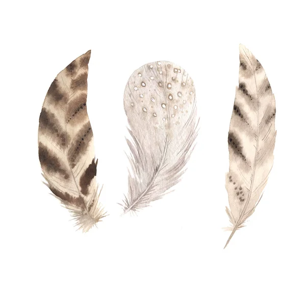 Aquarelle boho plumes colorées ensemble — Photo