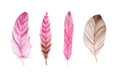 Suluboya egzotik tüyler